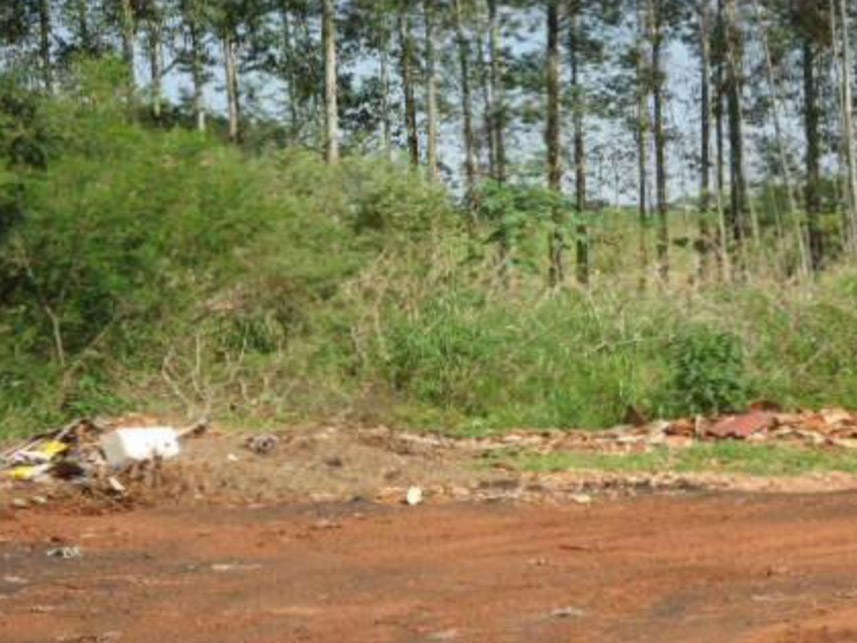 Imagem 3 do Leilão de Terreno - Parque Industrial - Mundo Novo/MS