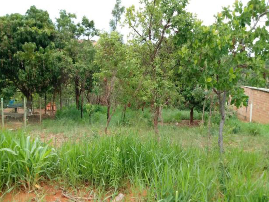 Imagem  do Leilão de Terrenos - Parque do Buriti - Caetanópolis/MG