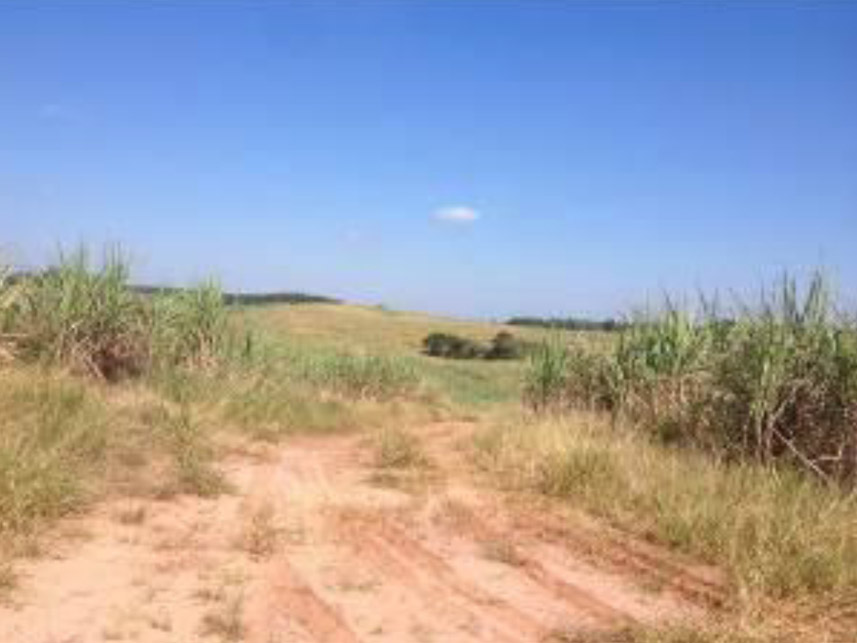 Imagem 16 do Leilão de Área Rural - Faxinal - Itatinga/SP