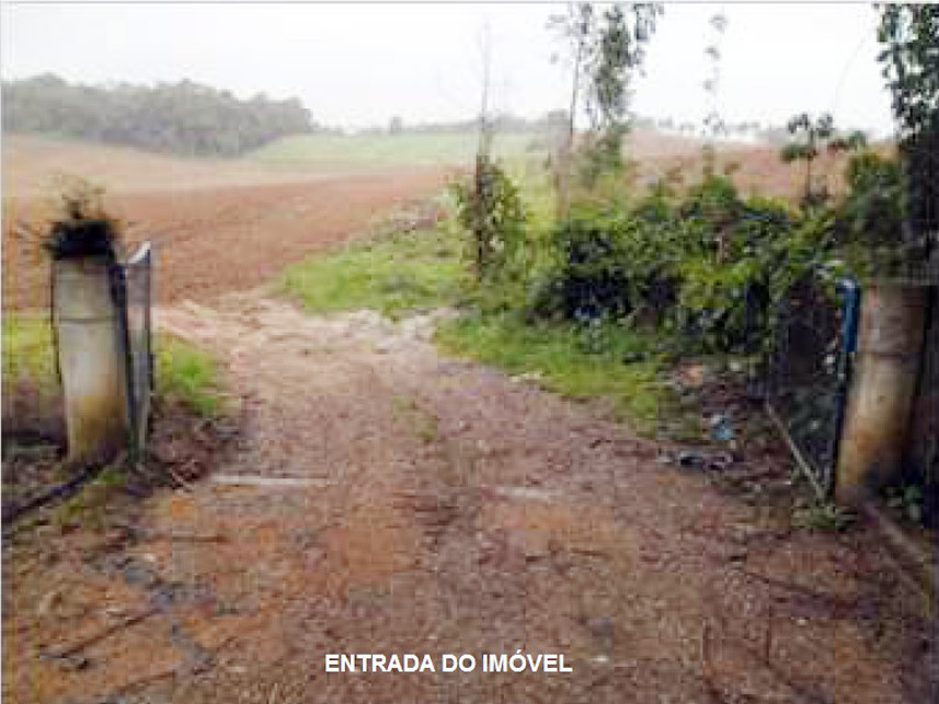 Imagem 1 do Leilão de Terreno - Área Rural - São José Dos Pinhais/PR