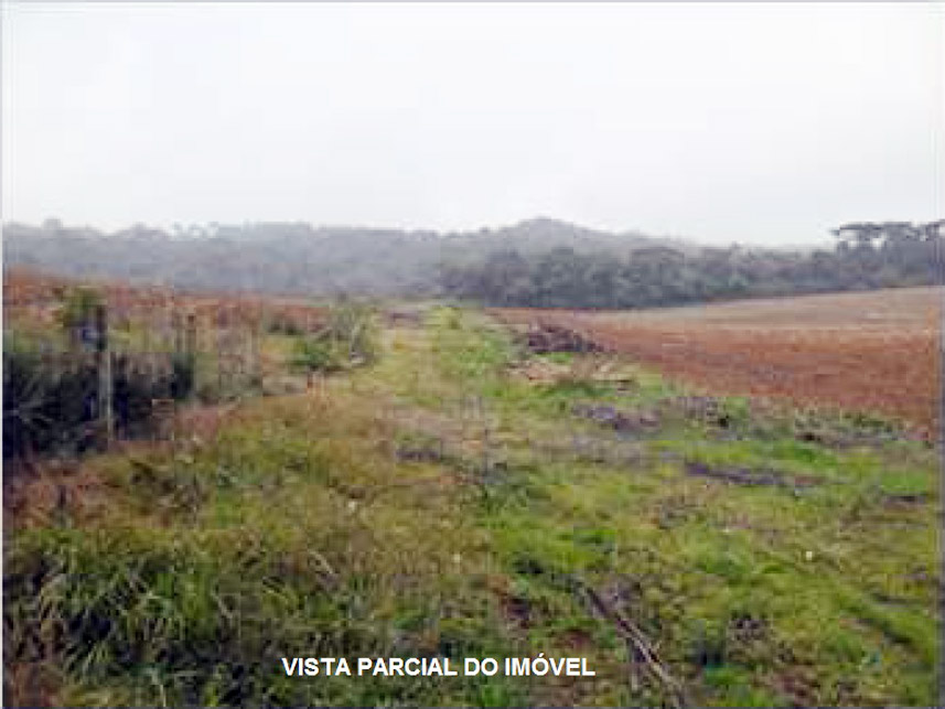 Imagem 2 do Leilão de Terreno - Área Rural - São José Dos Pinhais/PR