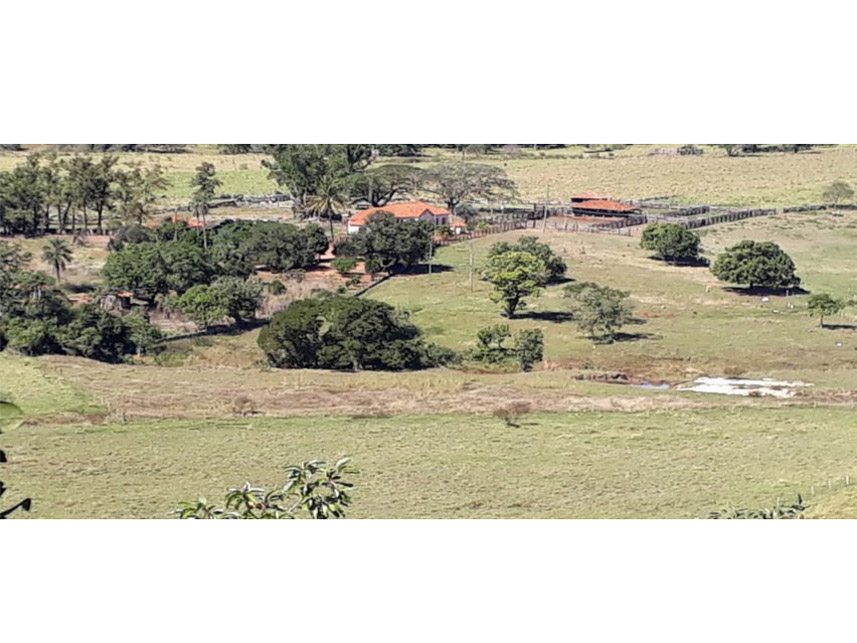 Imagem 7 do Leilão de Área Rural - Zona Rural - Campina Verde/MG