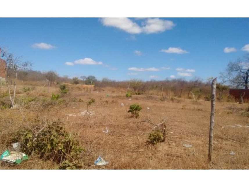 Imagem 5 do Leilão de Terreno - Bairro Antônio Luiz Tavares - Missão Velha/CE