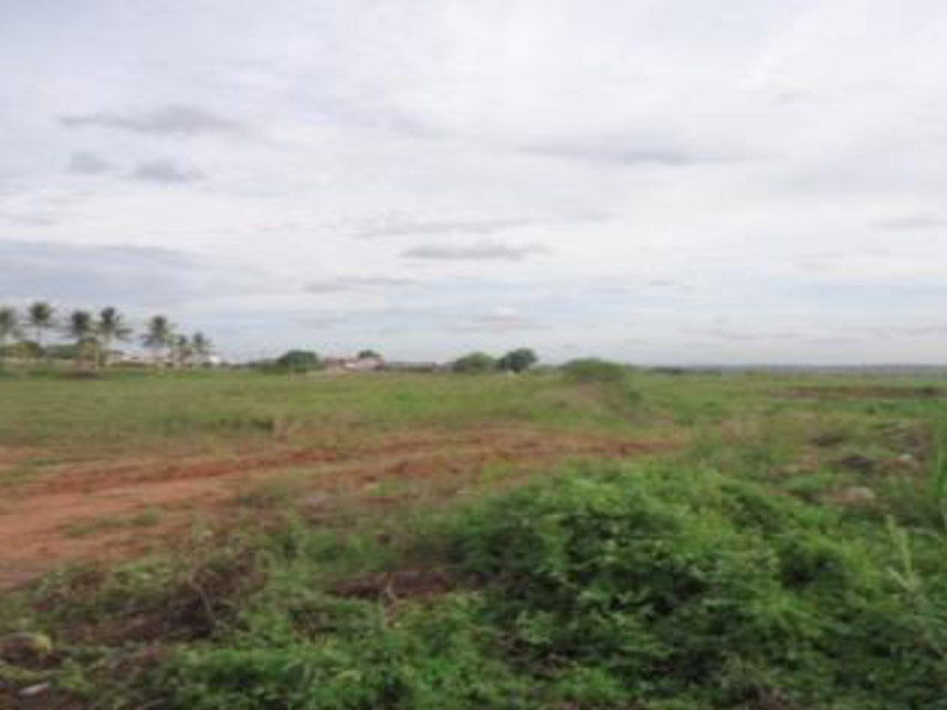 Imagem 2 do Leilão de Terreno - Palmeira de Fora - Palmeira dos Índios/AL