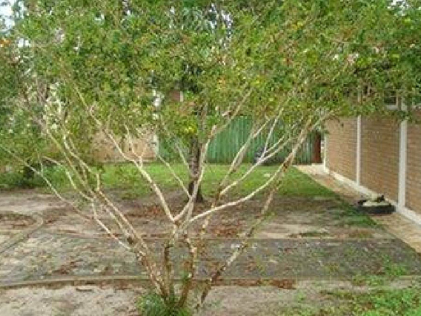 Imagem 6 do Leilão de Casa - Praia De Guaratiba  - Prado/BA