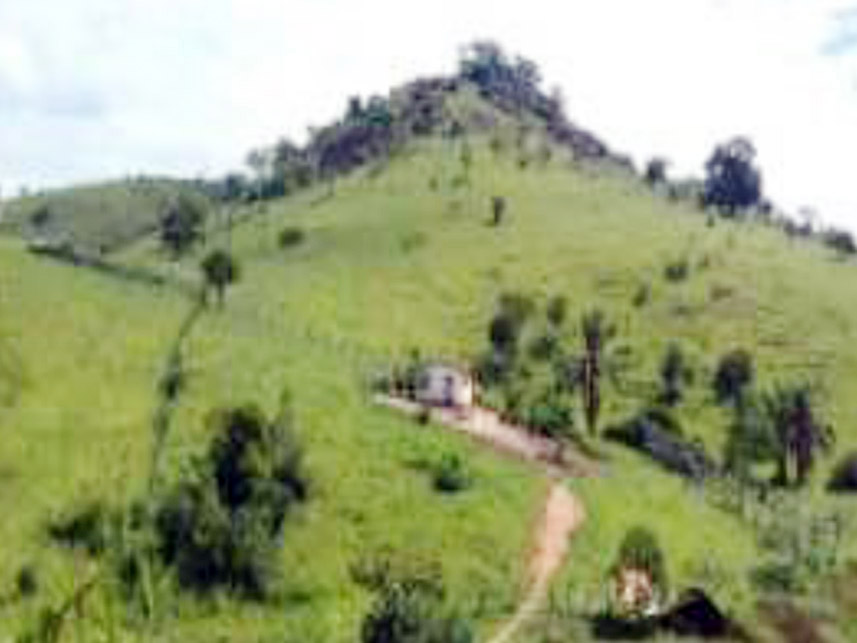 Imagem 5 do Leilão de Área Rural - Sítio Doinho - Guaratinga/BA