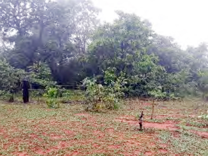 Imagem 4 do Leilão de Área Rural - Furna Grande - Ituiutaba/MG