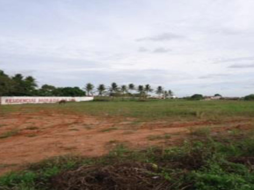 Imagem 3 do Leilão de Terreno - Palmeira de Fora - Palmeira dos Índios/AL