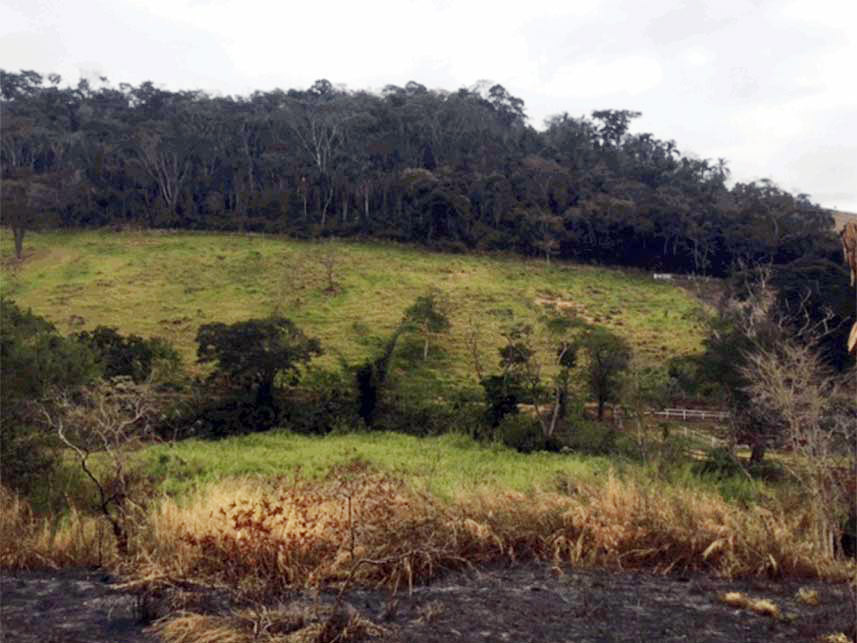 Imagem 4 do Leilão de Área Rural - Bairro Gulf - Comendador Levy Gasparian/RJ