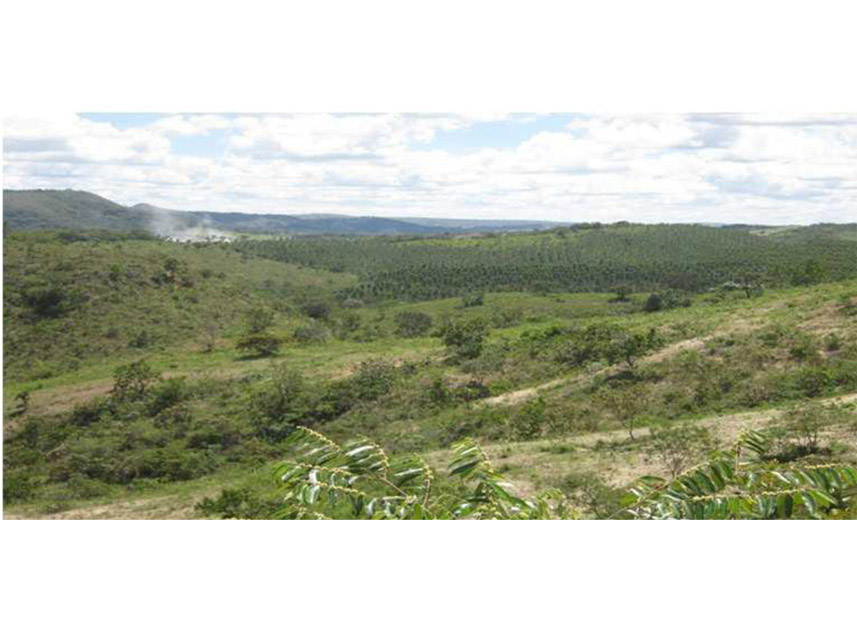 Imagem 6 do Leilão de Área Rural - Rural - Padre Bernardo/GO