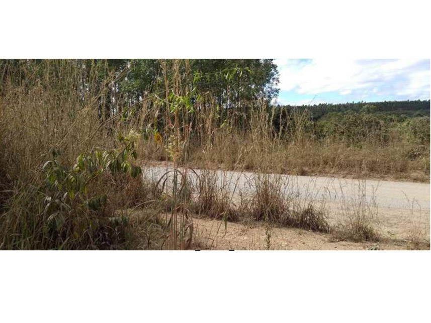 Imagem 7 do Leilão de Área Rural - Rural - Padre Bernardo/GO