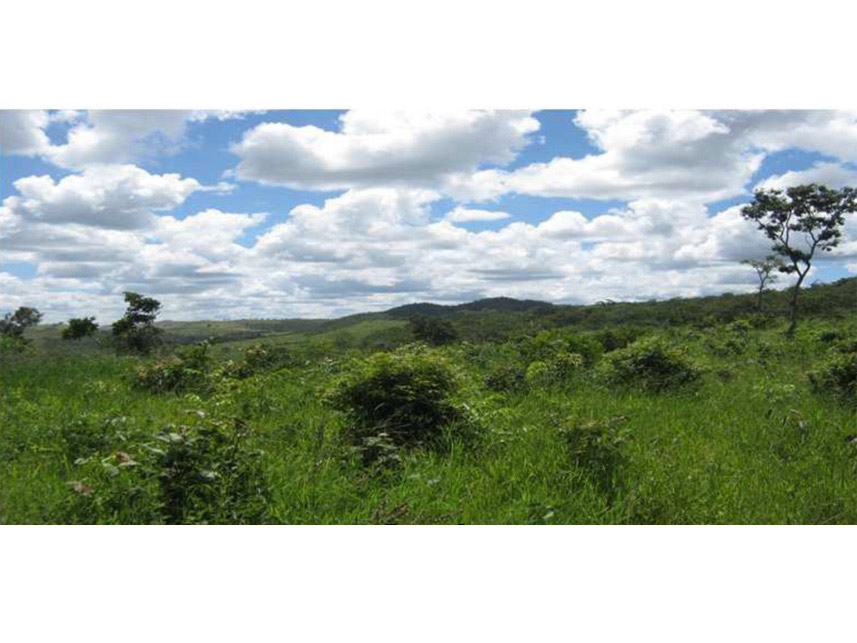 Imagem 4 do Leilão de Área Rural - Rural - Padre Bernardo/GO