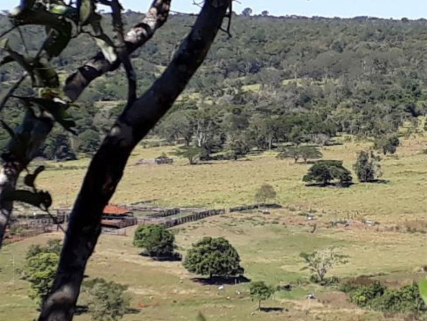 Imagem 6 do Leilão de Área Rural - Zona Rural - Campina Verde/MG