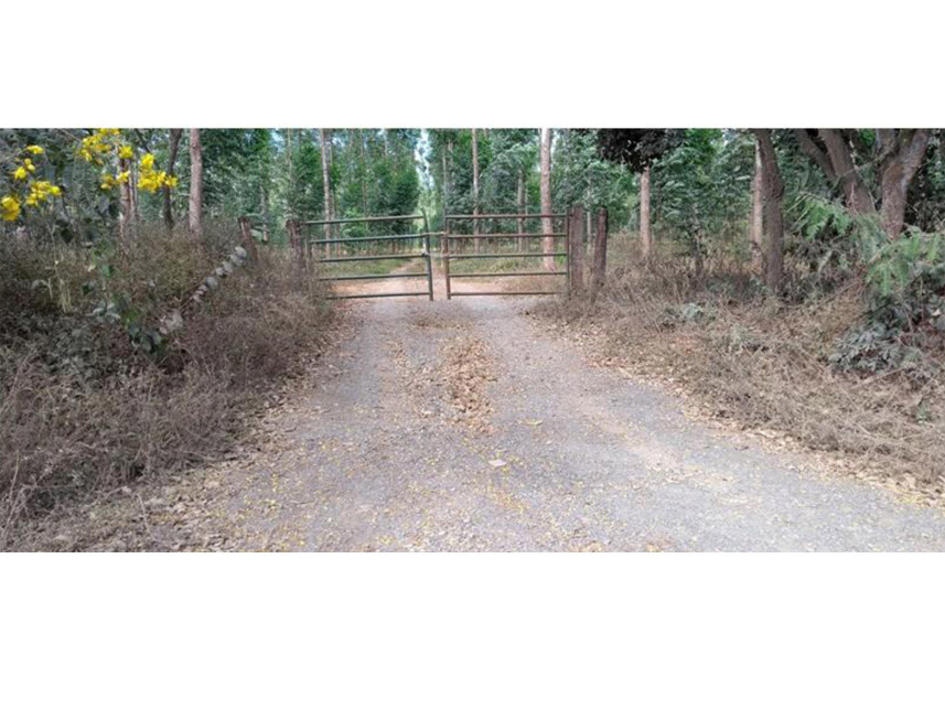 Imagem 8 do Leilão de Área Rural - Rural - Padre Bernardo/GO