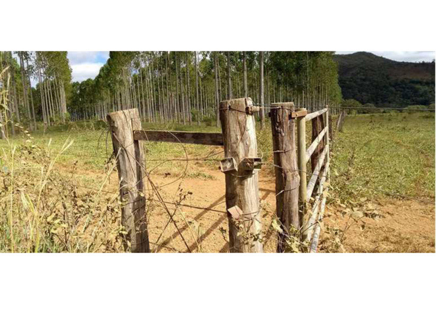 Imagem 9 do Leilão de Área Rural - Rural - Padre Bernardo/GO