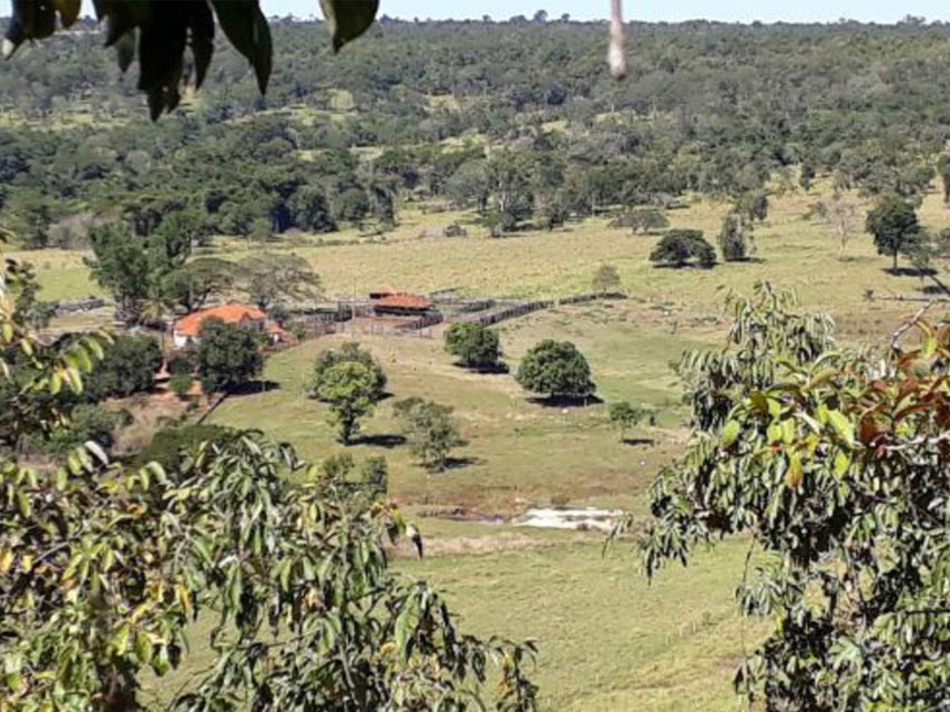 Imagem 3 do Leilão de Área Rural - Zona Rural - Campina Verde/MG