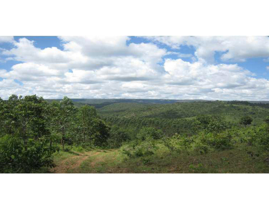 Imagem 3 do Leilão de Área Rural - Rural - Padre Bernardo/GO