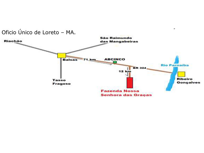 Imagem 4 do Leilão de Área Rural - Jardim Estoril - Loreto/MA