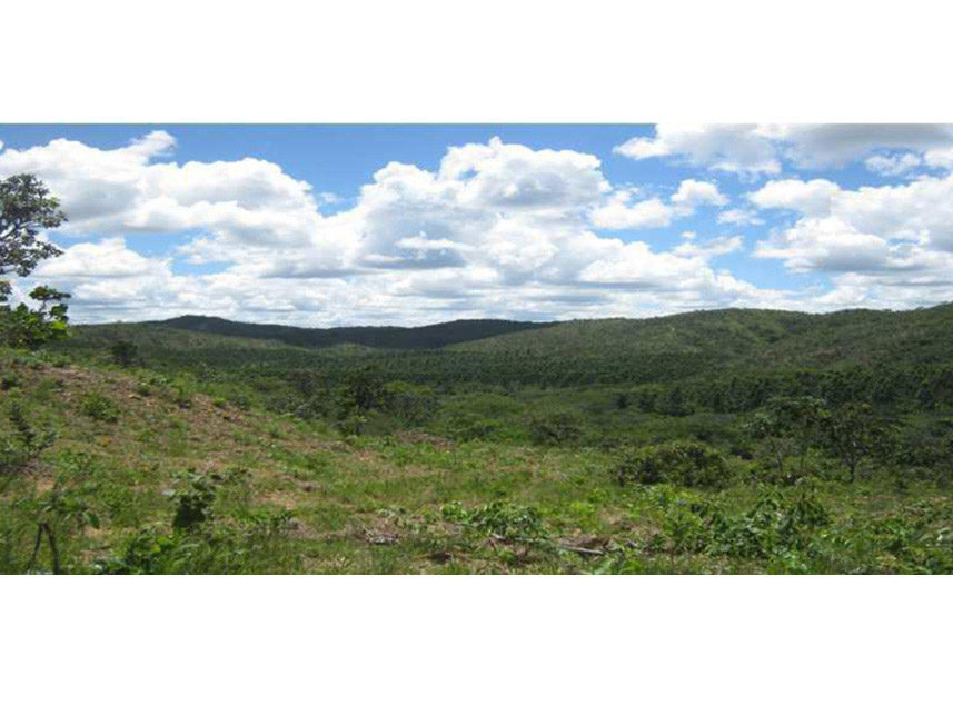 Imagem 5 do Leilão de Área Rural - Rural - Padre Bernardo/GO