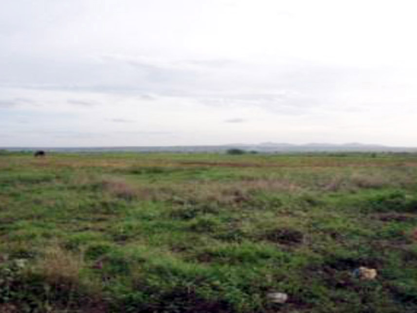 Imagem 4 do Leilão de Terreno - Palmeira de Fora - Palmeira dos Índios/AL