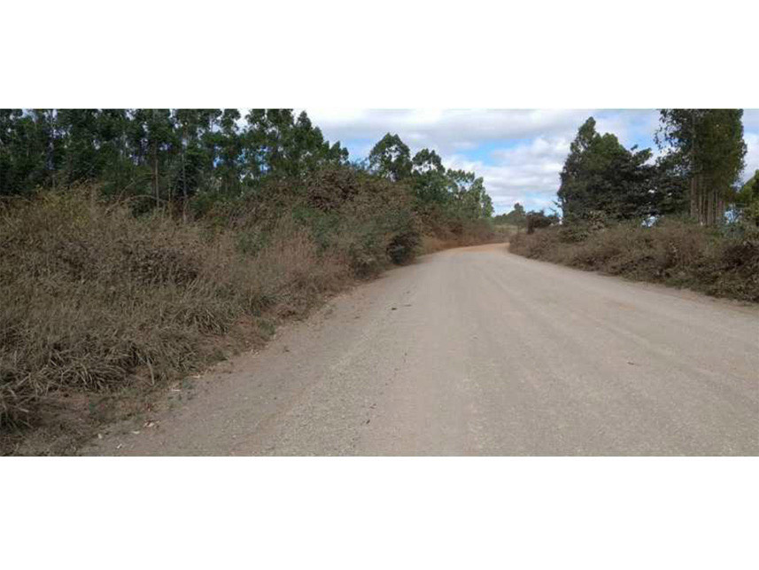 Imagem 10 do Leilão de Área Rural - Rural - Padre Bernardo/GO