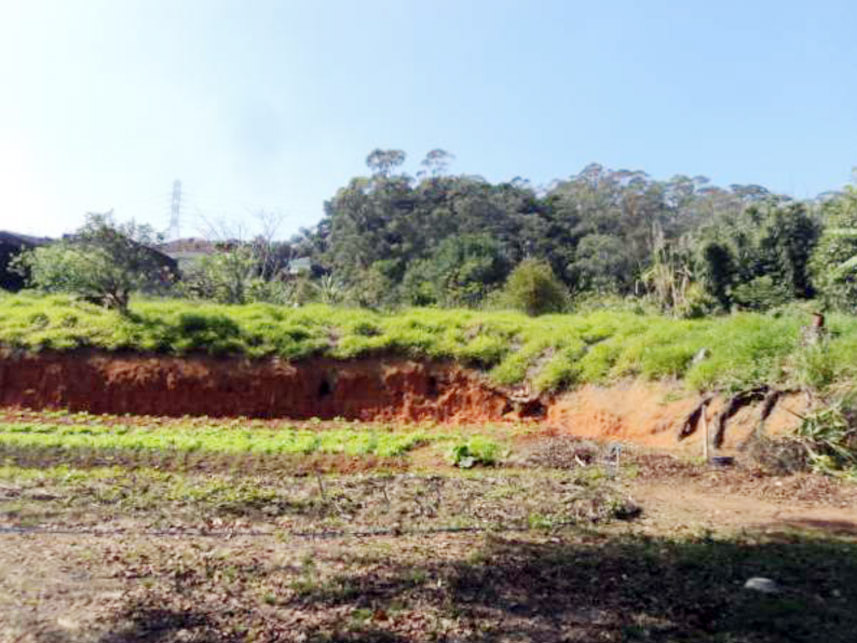 Imagem 6 do Leilão de Terreno - Bairro das Casas - São Bernardo do Campo/SP