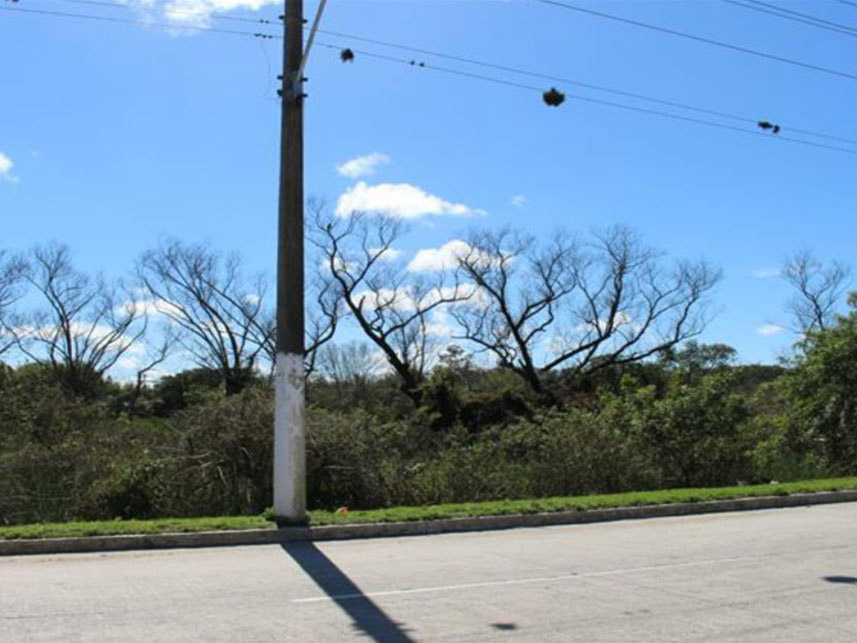 Imagem 2 do Leilão de Terreno - Recanto de Portugal - Pelotas/RS
