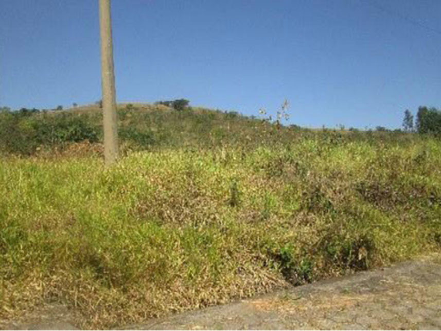 Imagem 8 do Leilão de Área Rural - Área Rural - São João Del Rei/MG