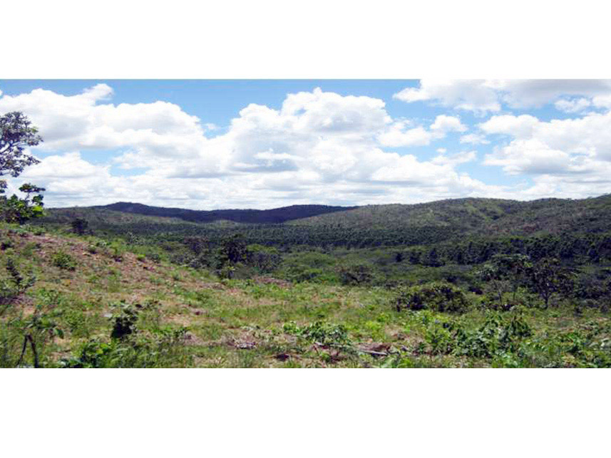 Imagem 5 do Leilão de Área Rural - Rural - Padre Bernardo/GO
