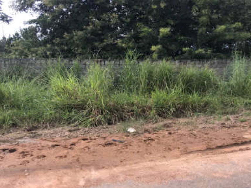 Imagem 1 do Leilão de Terreno - Residencial Buriti - Senador Canedo/GO