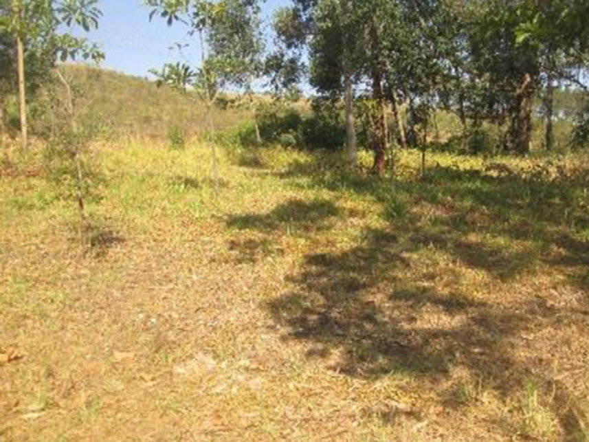 Imagem 9 do Leilão de Área Rural - Área Rural - São João Del Rei/MG