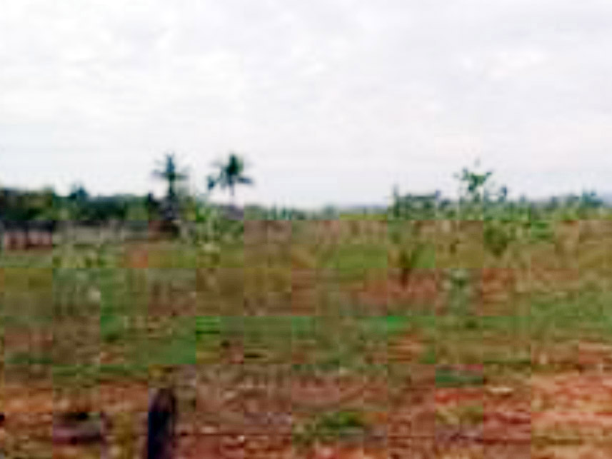 Imagem 4 do Leilão de Área Rural - Fazenda Pérola 3 - Palmas de Monte Alto/BA