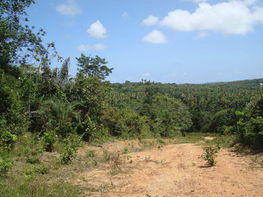 Imagem 1 do Leilão de Casa - Açu da Torre - Mata de São João/BA