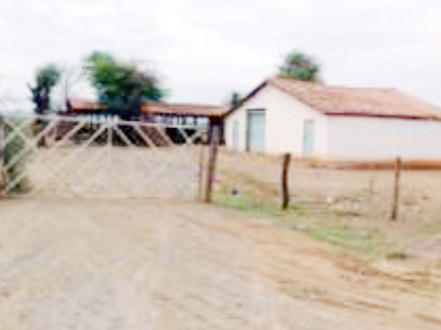 Imagem 2 do Leilão de Área Rural - Fazenda Pérola 3 - Palmas de Monte Alto/BA