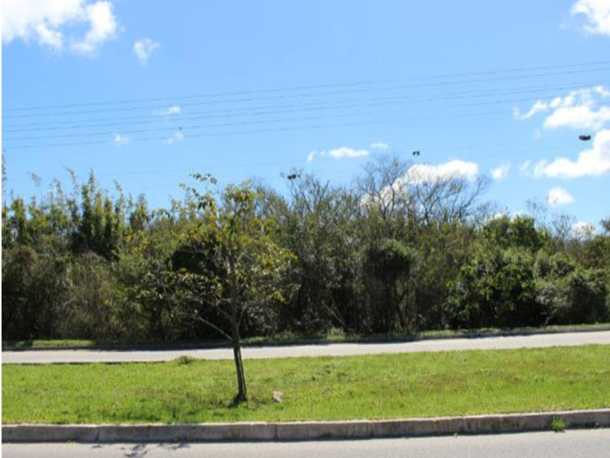 Imagem 1 do Leilão de Terreno - Recanto de Portugal - Pelotas/RS