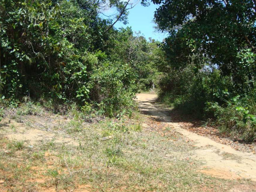 Imagem 2 do Leilão de Casa - Açu da Torre - Mata de São João/BA