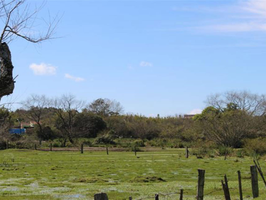 Imagem 3 do Leilão de Terreno - Recanto de Portugal - Pelotas/RS