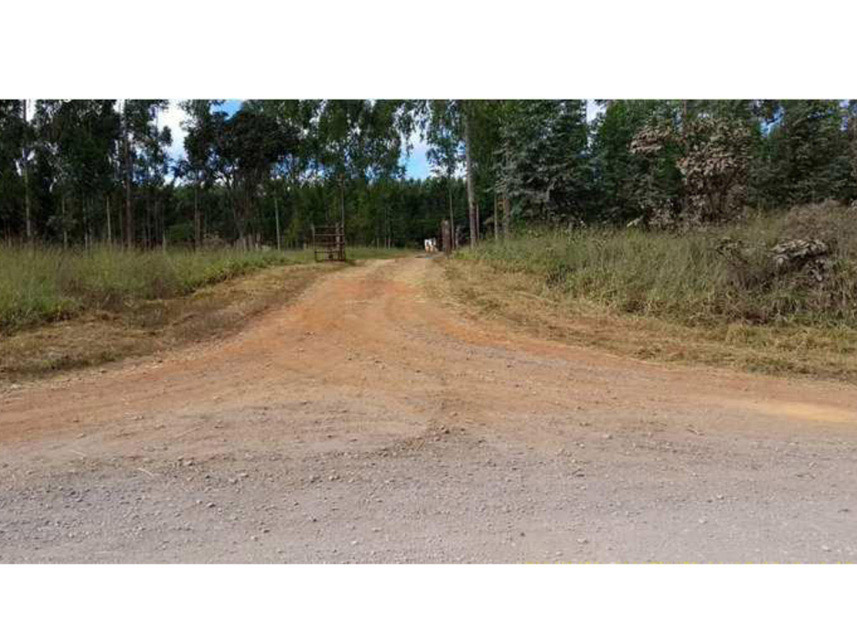 Imagem 1 do Leilão de Área Rural - Rural - Padre Bernardo/GO