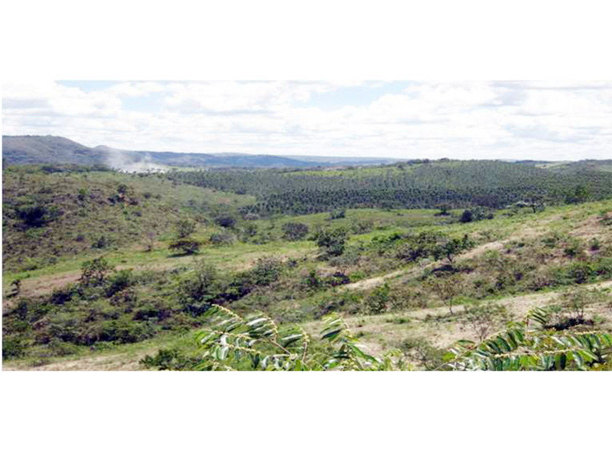 Imagem 6 do Leilão de Área Rural - Rural - Padre Bernardo/GO