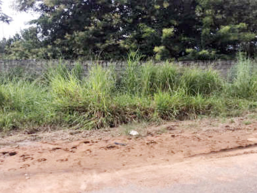 Imagem 1 do Leilão de Terreno - Residencial Buriti - Senador Canedo/GO