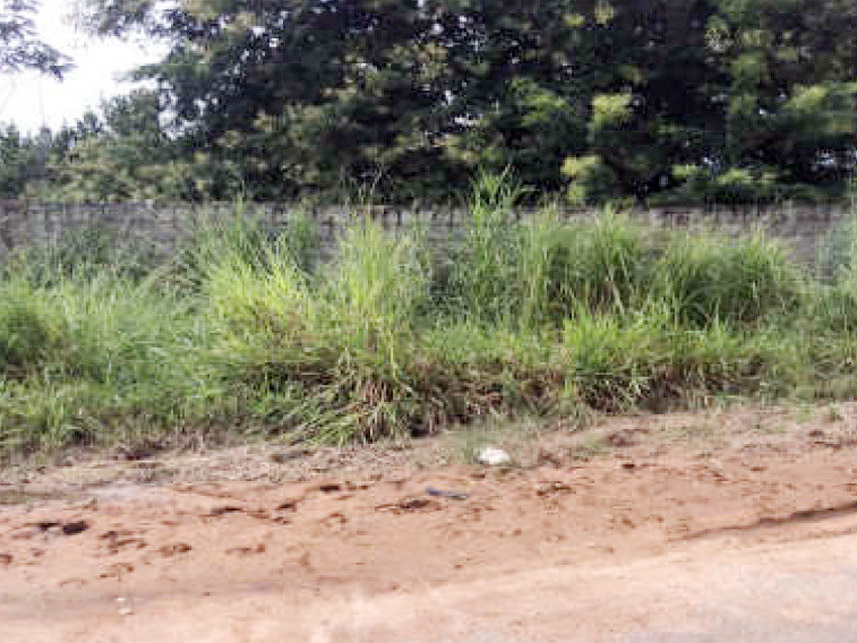 Imagem 1 do Leilão de Terreno - Residencial Buriti - Senador Canedo/GO