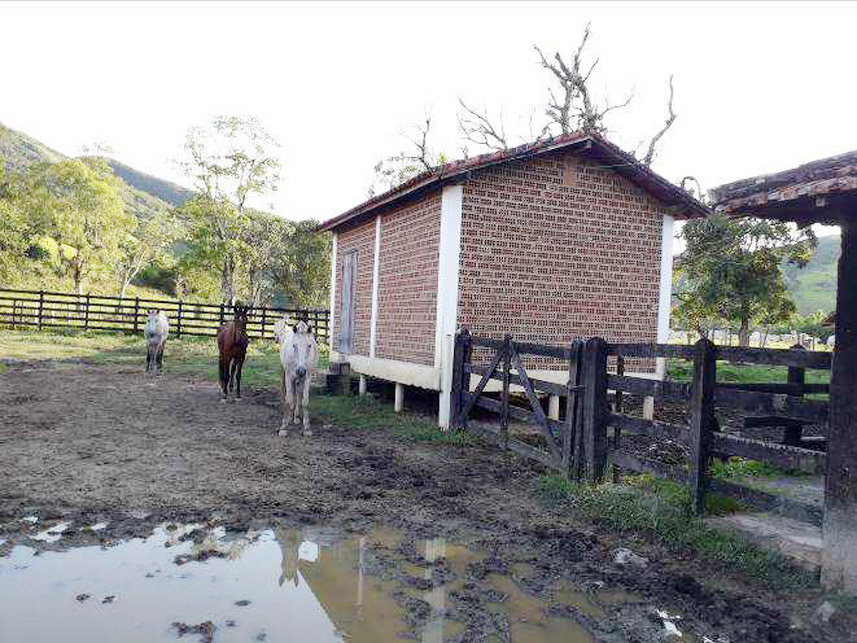 Imagem 12 do Leilão de Área Rural - Bocaina - Silveiras/SP
