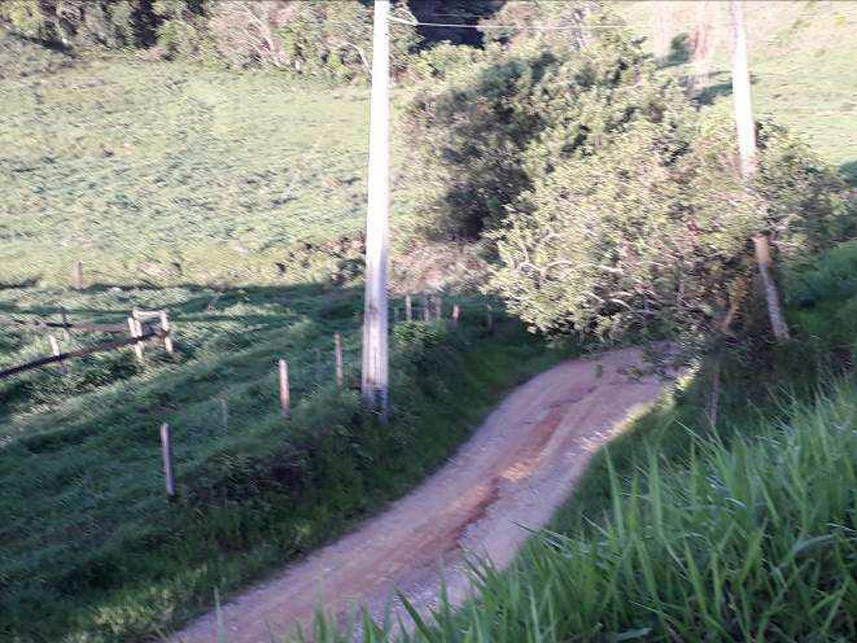 Imagem 4 do Leilão de Área Rural - Bocaina - Silveiras/SP