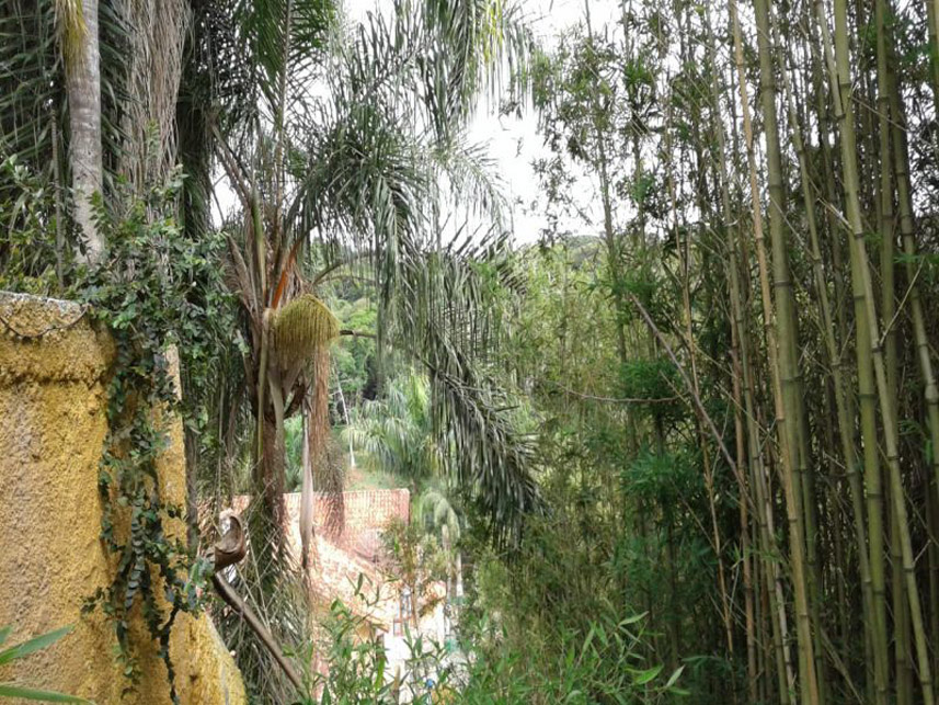 Imagem 10 do Leilão de Casa - Parque Rincão - Cotia/SP