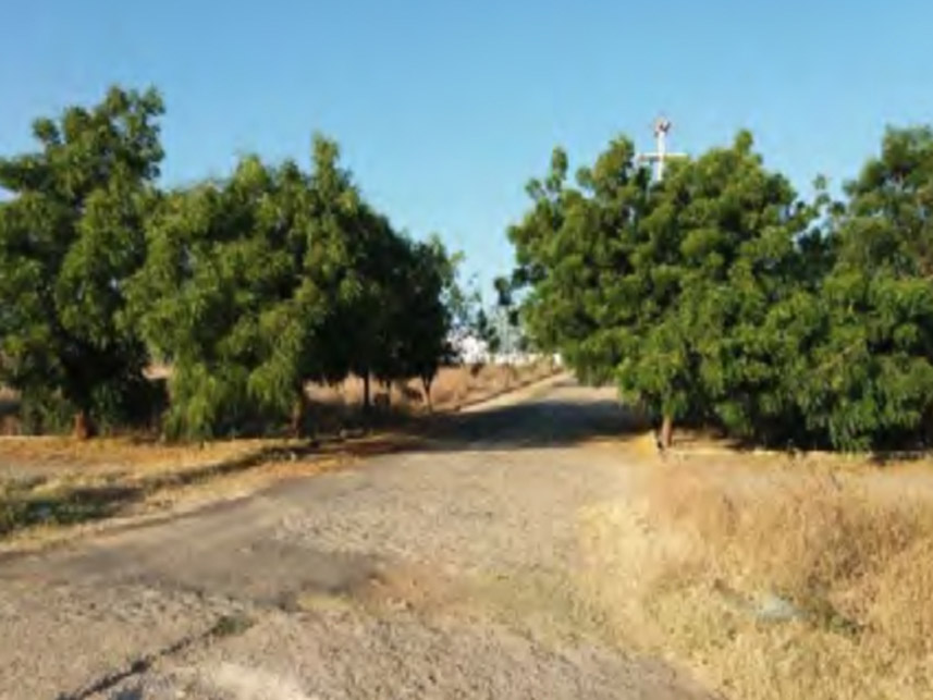 Imagem 2 do Leilão de Terreno - Remédios - Cajazeiras/PB