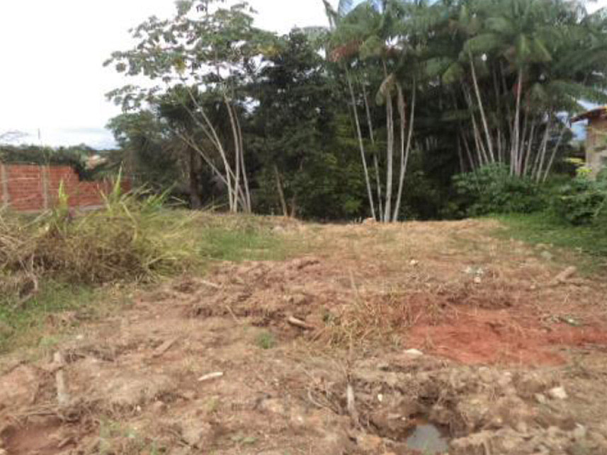 Imagem 4 do Leilão de Terreno - Novo Horizonte - Ourilândia do Norte/PA