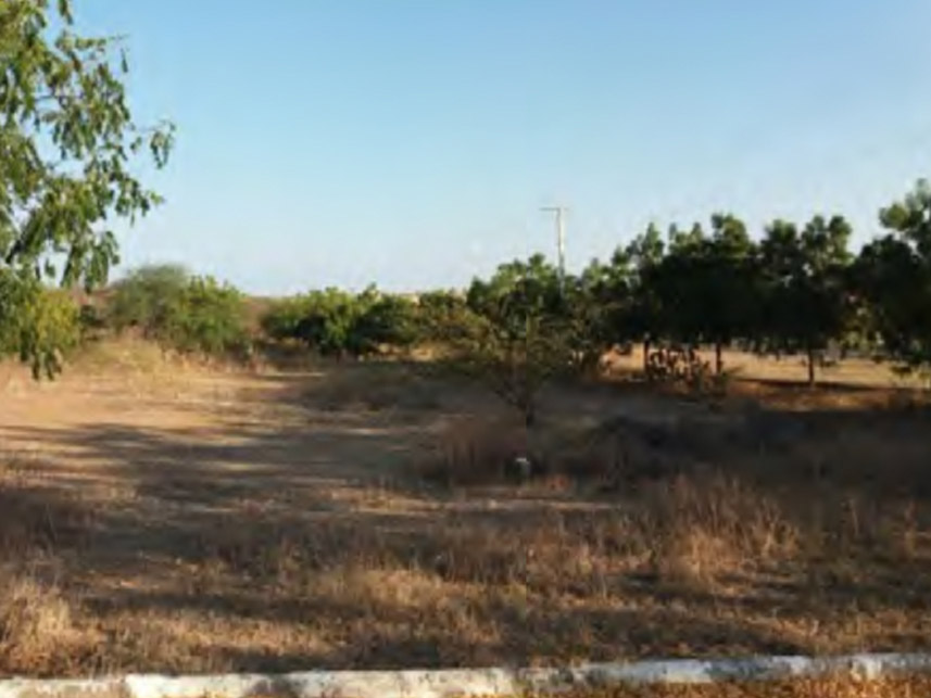Imagem 4 do Leilão de Terreno - Remédios - Cajazeiras/PB