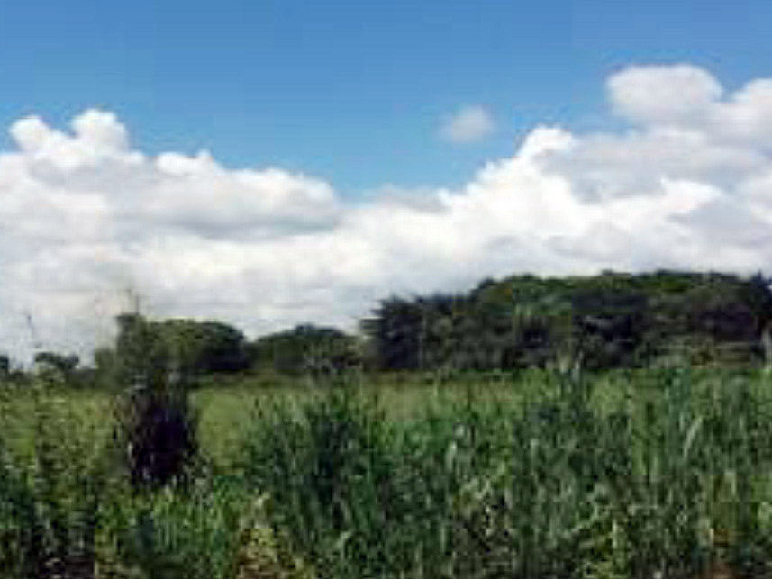 Imagem 4 do Leilão de Terreno - Cidade Nova - Cametá/PA