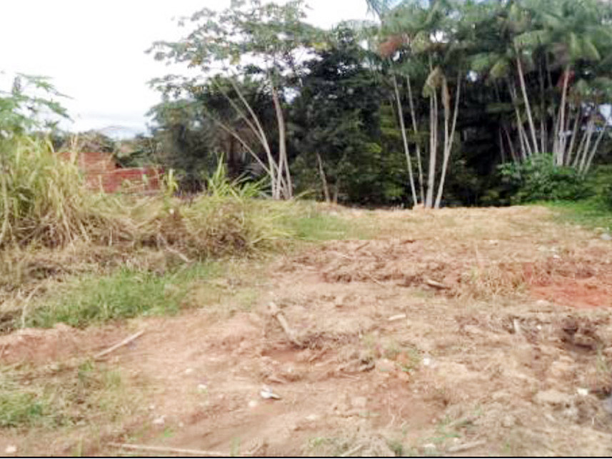 Imagem 2 do Leilão de Terreno - Novo Horizonte - Ourilândia do Norte/PA