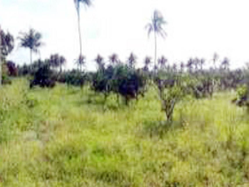 Imagem 3 do Leilão de Área Rural - Área Rural - Lagarto/SE